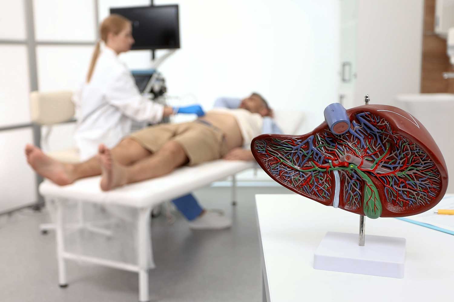 Abnormal Liver Ultrasound: What It Means and What to Do Next