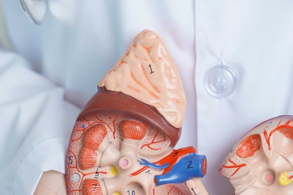 Adrenal Gland CT Scan: Detecting and Evaluating Adrenal Tumors